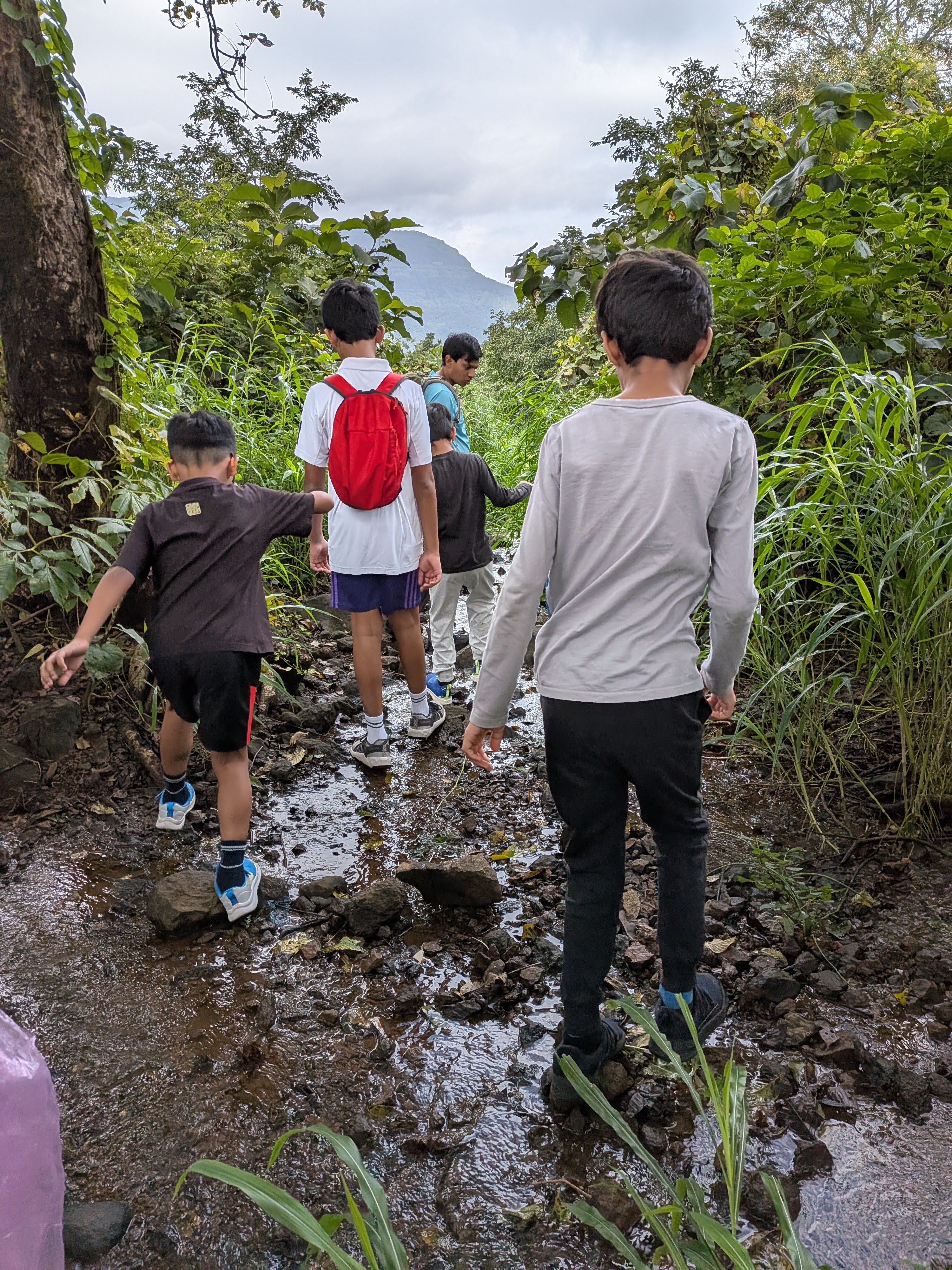 Children on a nature trek